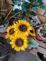 2 Sonnenblumen im Topf   Künstlich Niedersachsen - Bad Bevensen Vorschau