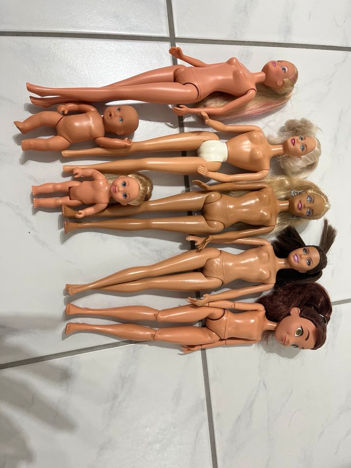 Barbies von Mattel in Meckenbeuren