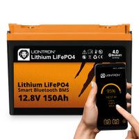 Batterie Akku Solar Wohnmobil LIONTRON 12,8V 150Ah neu Friedrichshain-Kreuzberg - Kreuzberg Vorschau