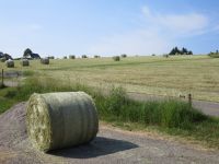 Rundballen Heuballen 2024 Freiburg im Breisgau - Breitnau Vorschau