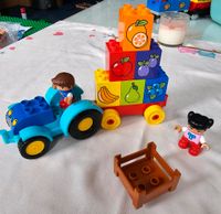 Lego Duplo 10615 Farben und Früchte lernen Sachsen - Mittweida Vorschau