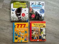 Bücherpaket Kinder Wissen Geschenk Sachsen-Anhalt - Erdeborn Vorschau