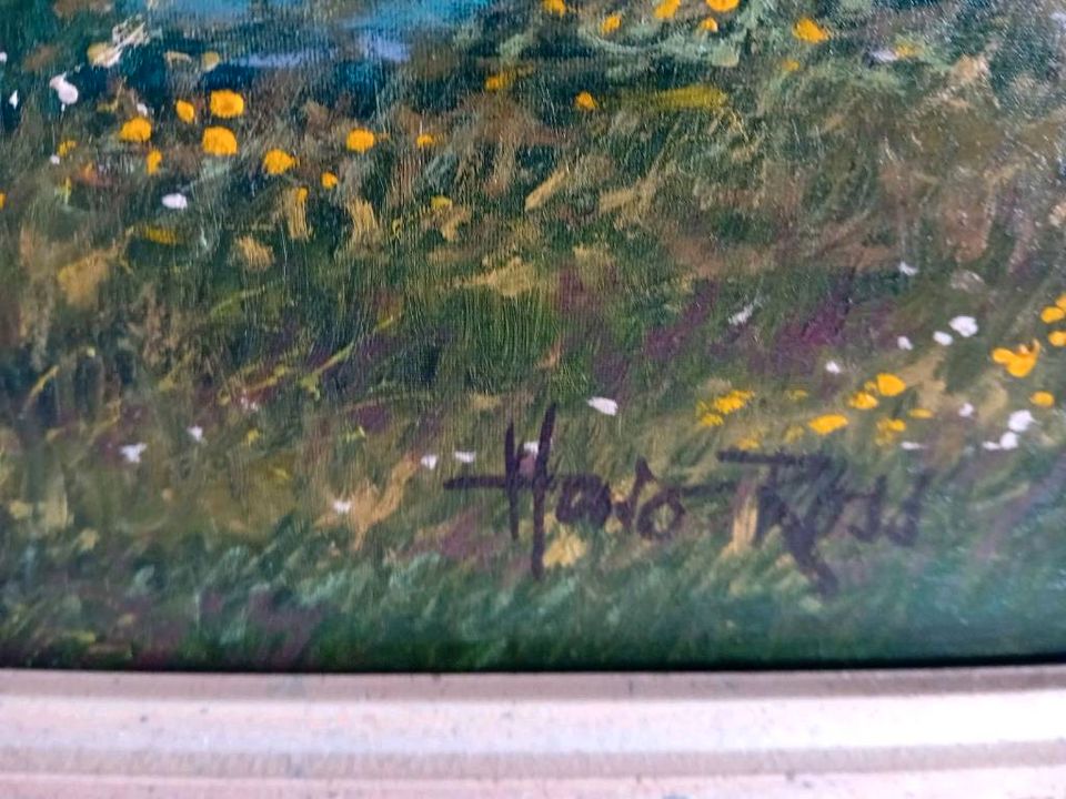 Ölgemälde Apfelblüte am See 70x60 cm signiert Haro Ross s. Text in Forchheim