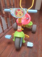 Dreirad Roller Winnie Pooh für Kinder Leipzig - Gohlis-Nord Vorschau