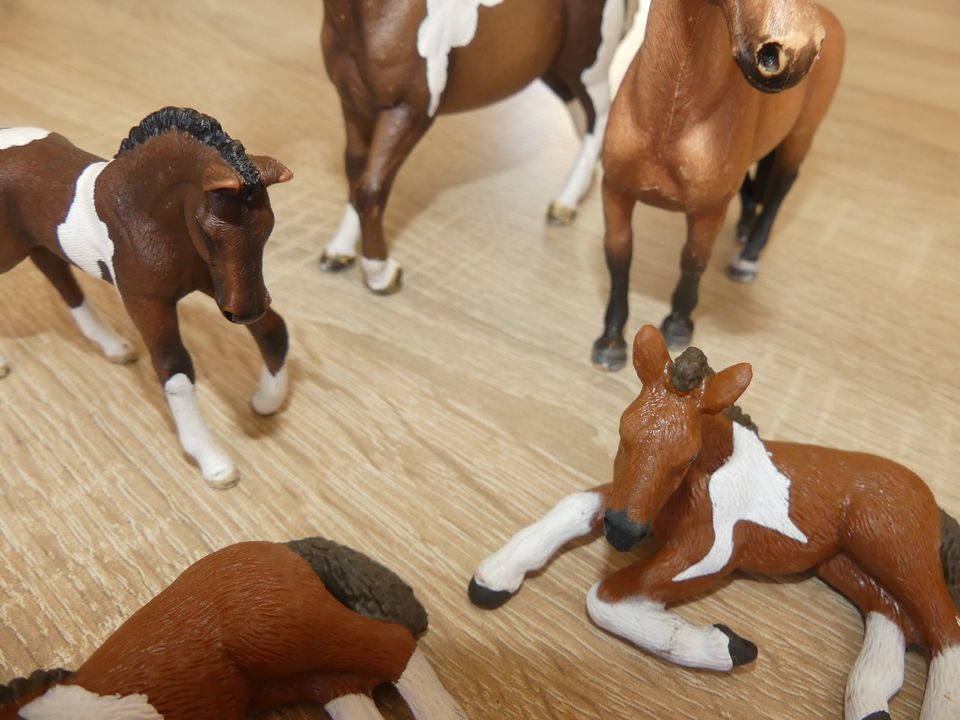 Schleich Pferde Trakehnerfamilie (13756, 13757, 13758) in Hermsdorf