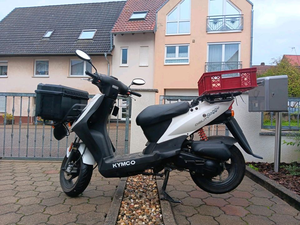 Pizzaroller Kymco Agility Carry 50 in Kraichtal