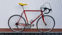 Meral Vintage Rennrad RH 54 Hessen - Bad Camberg Vorschau