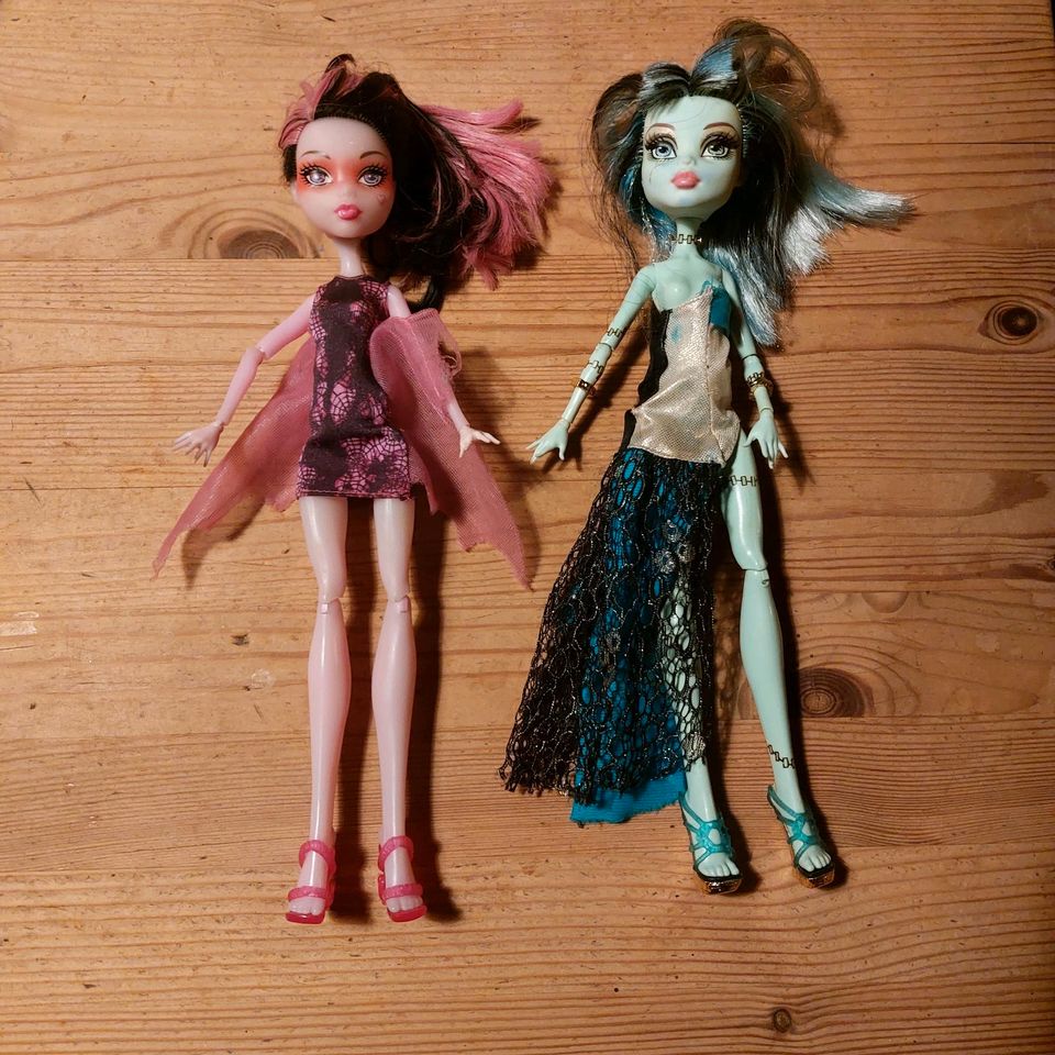 2 x Monster High komplett in Wittlich