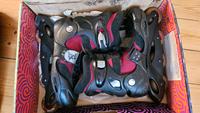 Inlineskates K2 EU 43,5 Dresden - Dresden-Plauen Vorschau