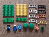 Lego Duplo Platten Zäune Figuren Pflanzen Hessen - Mörfelden-Walldorf Vorschau