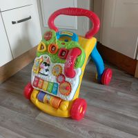 Lauflernwagen Fisher Price Sachsen - Bannewitz Vorschau