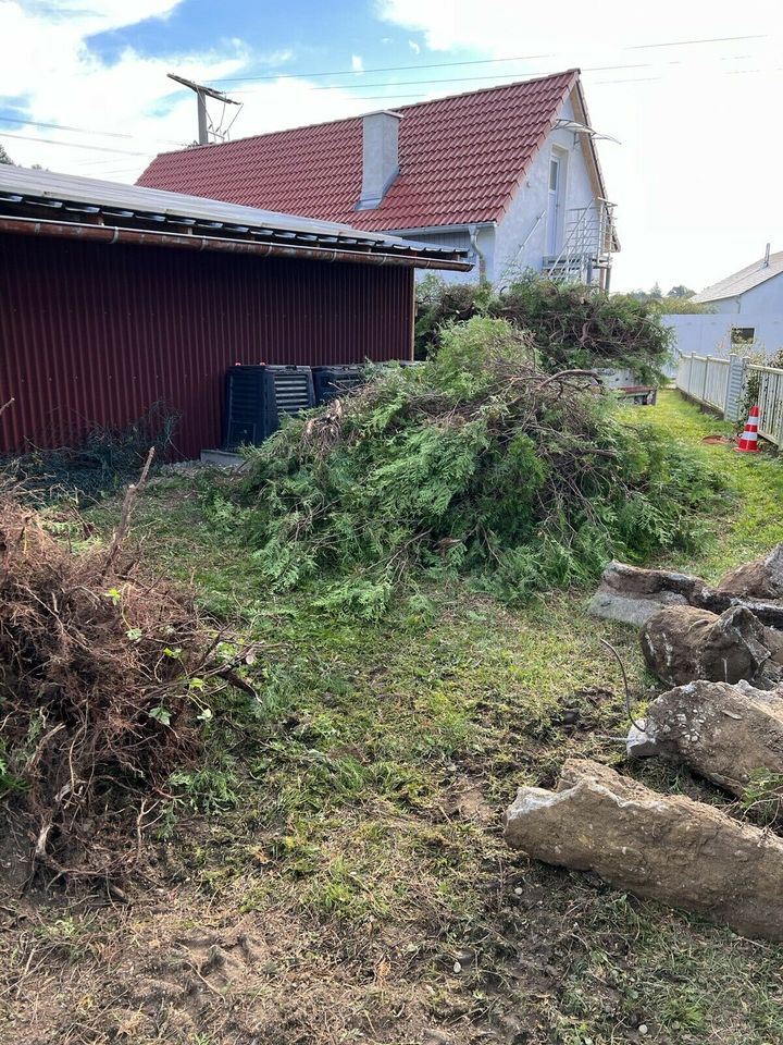 Hecken mit Wurzelenfernung in Aislingen