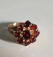 Antiker Granat Ring  Gold 333 Hessen - Kassel Vorschau