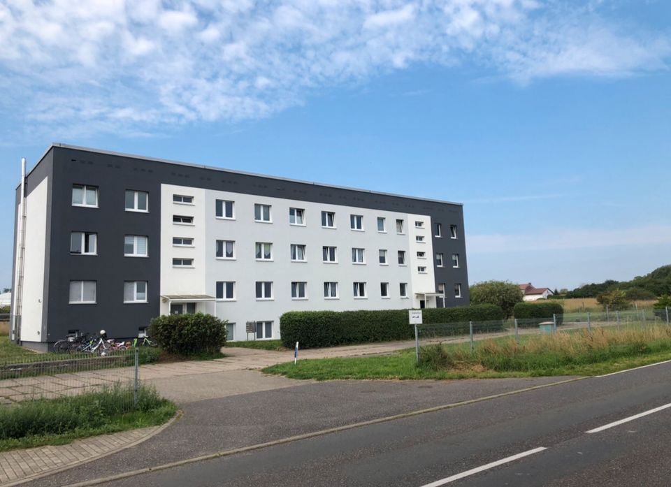 Helle 3R. Whg 85m² ab 12/2023 im EG zu vermieten! warm-Miete! in Friedland