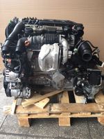 Motor 9H05 10JBEV 1.6 eHDI 8V CITROEN C5 BERLINGO 45TKM KOMPLETT Berlin - Wilmersdorf Vorschau