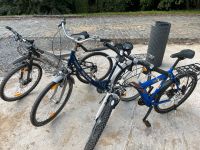 Fahrräder Bulls / AluRex / Panther (Mountainbike / Damenrad) Nordrhein-Westfalen - Grevenbroich Vorschau