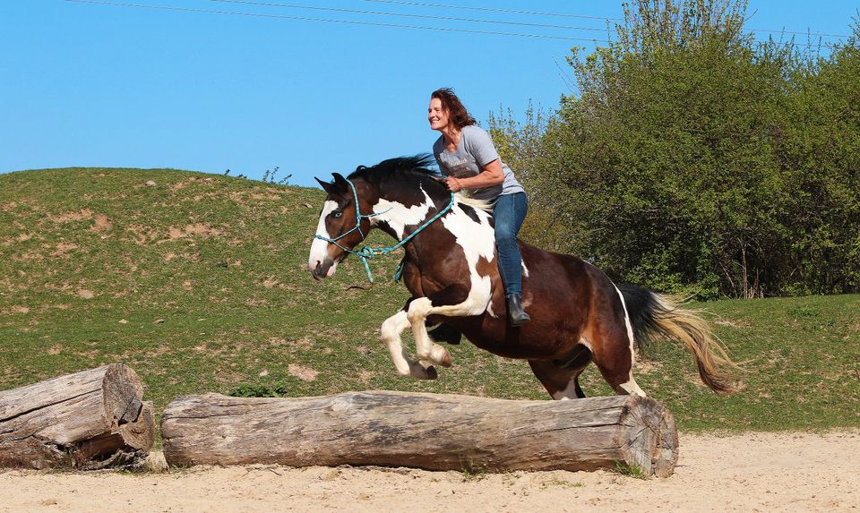 Unterricht/Kurse/Beritt von pro ride Horsemanship CoTrainerin in Laubach (Hunsrück)