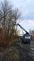 Baumpflege Baumfällung WOHLGEMUTH  Hubarbeitsbühne 28 m Nordrhein-Westfalen - Beverungen Vorschau