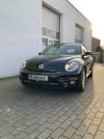 Volkswagen Beetle Cabriolet 1.2 Design BMT/Start-Stopp Bielefeld - Bielefeld (Innenstadt) Vorschau