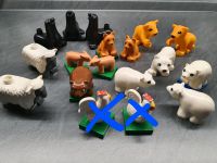 Lego Duplo 16 Tiere Löwen Schafe Schweine Seehund Eisbär Niedersachsen - Salzgitter Vorschau