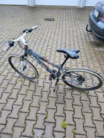 Mountainbike Panther Jockey 26 Zoll Nordrhein-Westfalen - Krefeld Vorschau