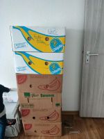 Bananenkartons Hessen - Wolfhagen  Vorschau