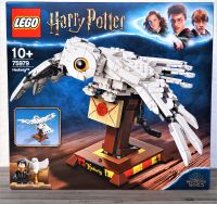 LEGO® Harry Potter 75979 Hedwig™ Baden-Württemberg - Hüttisheim Vorschau