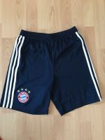 Bayern München Trikot Hose für Jungs in Gr. 164 Niedersachsen - Hameln Vorschau