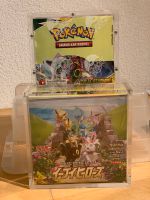 Pokémon Drachenwandel & Eevee Heroes Baden-Württemberg - Baindt Vorschau