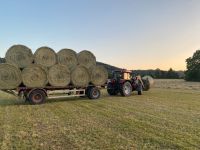 Heu/ Silage/ Stroh: top Bioland / Demeter Qualität Baden-Württemberg - Maulburg Vorschau