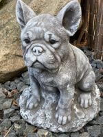Steinfigur Bulldogge für Haus und Garten Frostfeste Gartenfigur Nordrhein-Westfalen - Jüchen Vorschau
