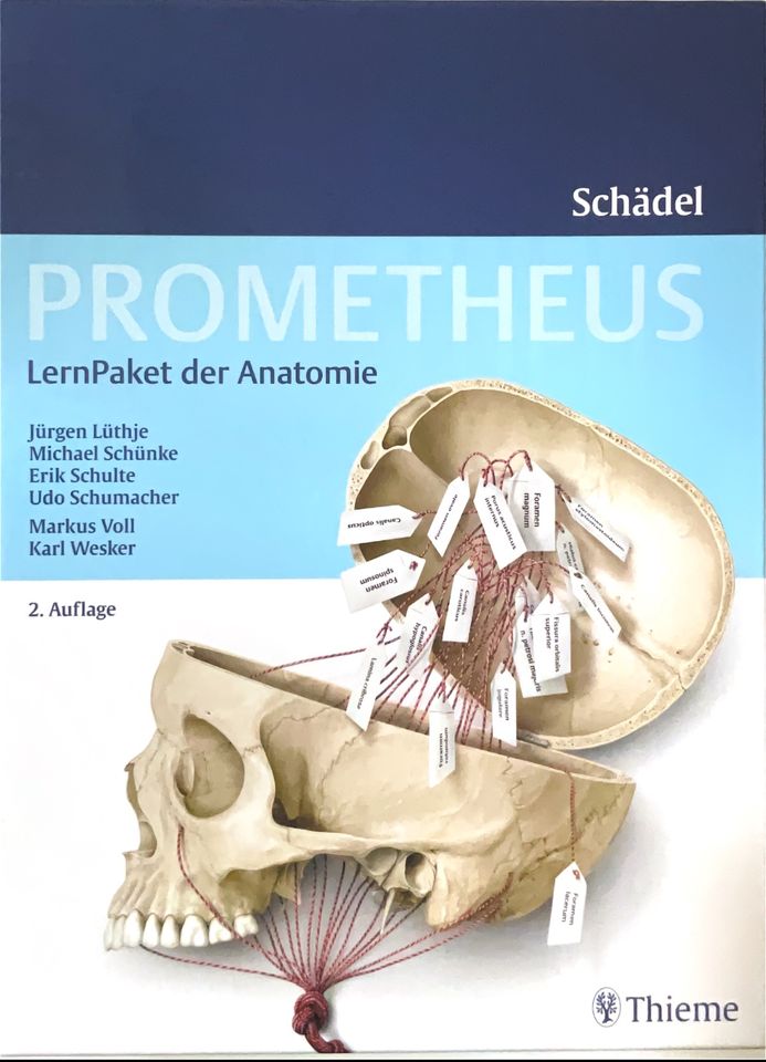 PROMETHEUS LernPaket Anatomie Schädel 2. Auflage in Dresden