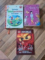 Bücher  Ninjago/Fussball/Tiere Neustadt - Neuenland Vorschau