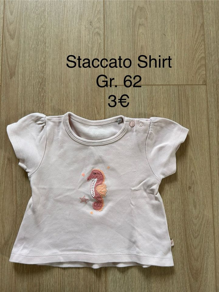 T-Shirt Staccato Gr.62 in Einbeck