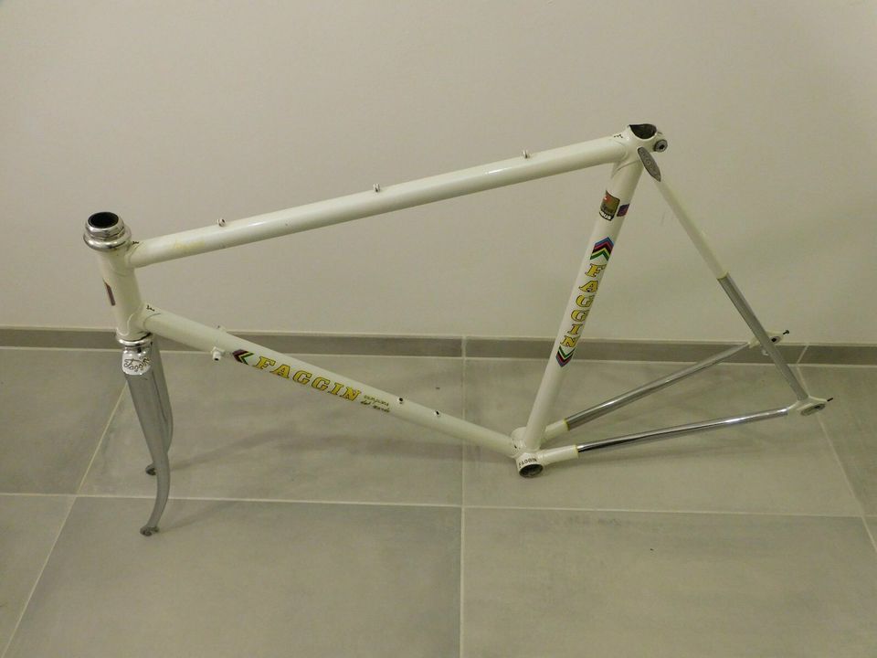 Rennrad "FAGGIN" / Gipiemme RH 56 cm in Dortmund