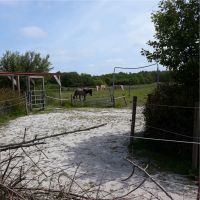 Offenstall für Ponys in Großheide-Westermoordorf f Niedersachsen - Großheide Vorschau