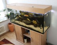 Aquarium Lux Aquarien Kombination 240L Berlin - Neukölln Vorschau