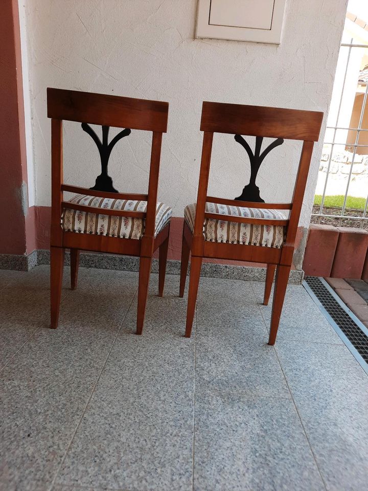 2 Biedermeier Stühle in Hettstadt