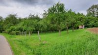 Streuobstwiese Hessen - Spangenberg Vorschau