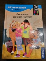 Die drei !!! Geheimnis auf dem Ponyhof 2. Klasse Nordrhein-Westfalen - Hiddenhausen Vorschau
