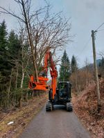 Fällgreifer arbeiten, Wege und Feldränder Pflege mit Woodcracker Bayern - Blaichach Vorschau