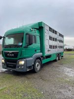 MAN TGS 26.440 Vieh- / Schweine Transport  LKW Leipzig - Neulindenau Vorschau