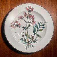 Villeroy & Boch, Botanica, 2 Suppenteller "Valeriana officinalis" Berlin - Friedenau Vorschau