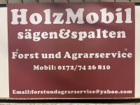 ✅Lohnspalten-Holzspalten-Sägespaltautomat-Brennholz-Kaminholz✅ Schleswig-Holstein - Jersbek Vorschau