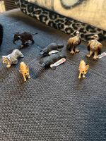 Schleich Wildtiere neu mit Etikett Niedersachsen - Hagen am Teutoburger Wald Vorschau