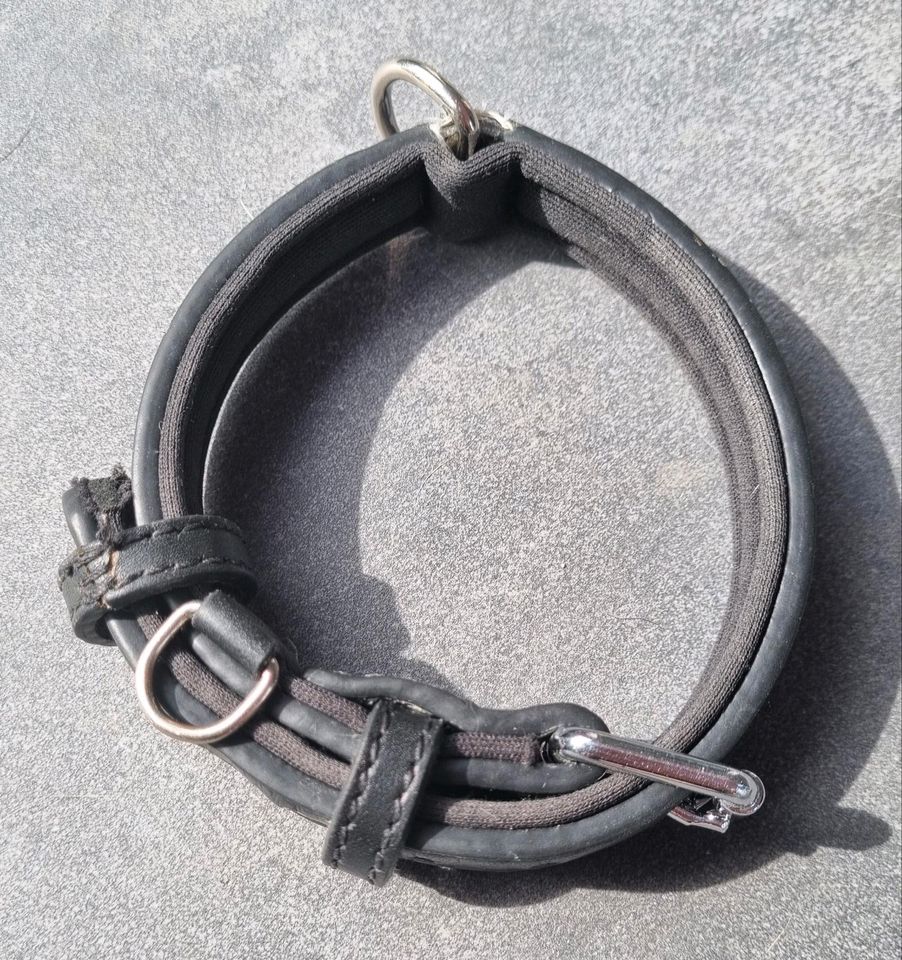 Halsband Hundehalsband Lederhalsband in Mutlangen