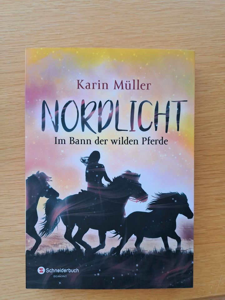 Buch Nordlicht - Karin Müller, Band 1-3 in Homberg (Efze)