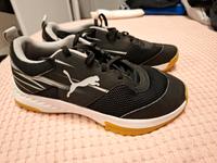 Puma Hallenschuhe super Zustand Nordrhein-Westfalen - Lemgo Vorschau