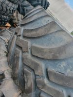 650/65R30.5 Trelleborg Reifen gebraucht Nordrhein-Westfalen - Rödinghausen Vorschau