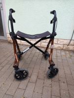 Rollator Taima Sachsen-Anhalt - Nienburg (Saale) Vorschau